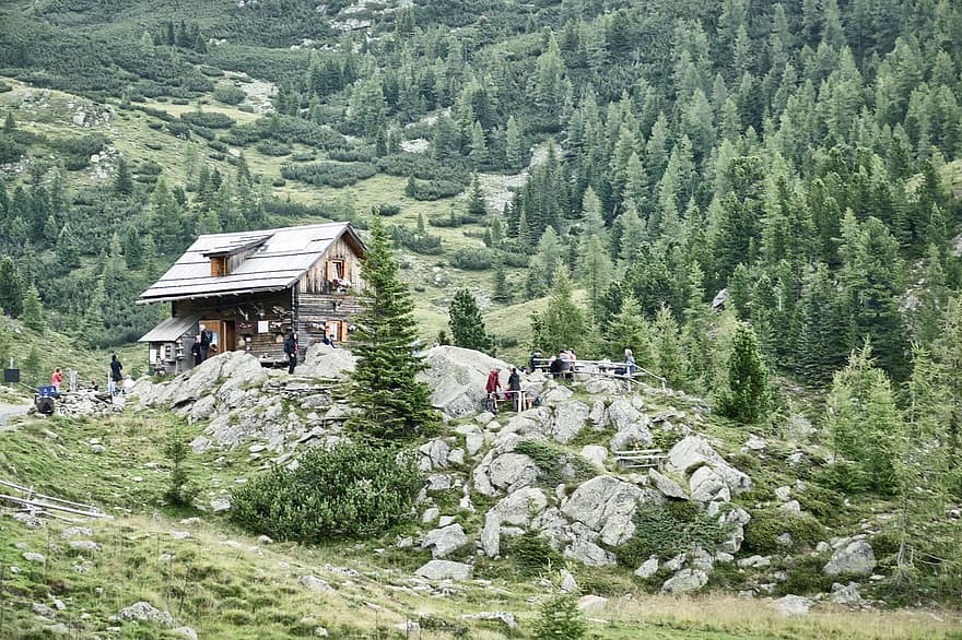 dağ kulübesi, alp, doğa, yürüyüş, dağlar, tatil, kütüklerden yapılmış kulübe