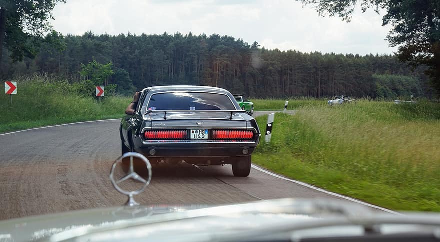 Car, Road, Vehicle, Classic, Rally, Mercedes Benz