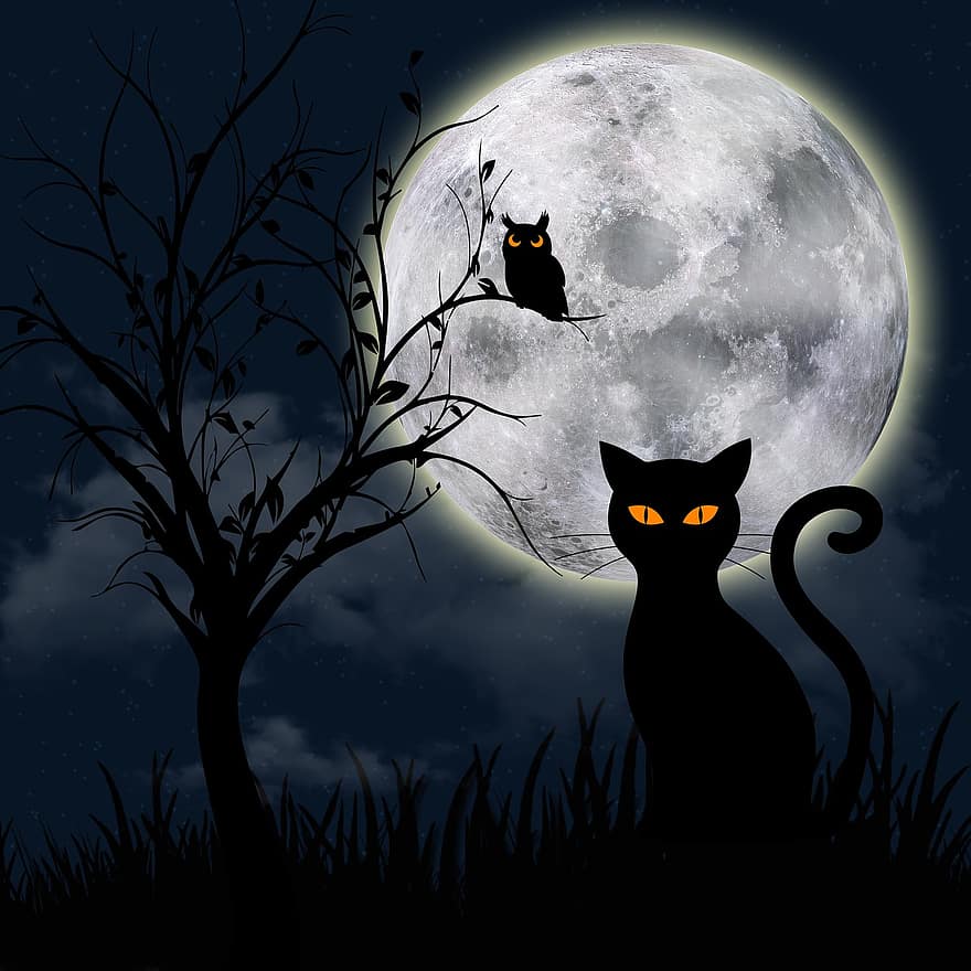 noc, ciemność, Fantazja, czarny kot, sylwetka