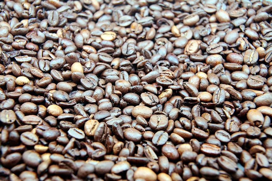 café, granos de café, cafeína, café tostado en grano, macro, de cerca, frijol, antecedentes, beber, frescura, semilla