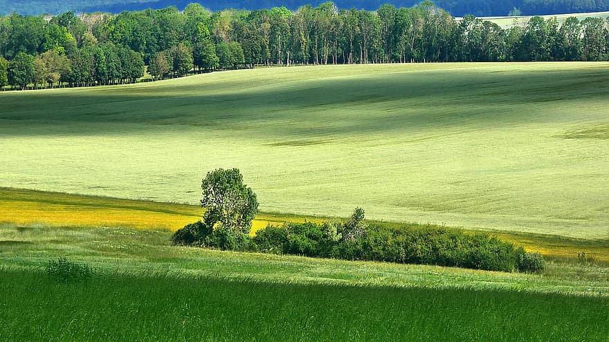 çevre, yeşil, peyzaj, kırsal bölge, gölgeler, ışık, doğa, kırsal, manzara, yaz, Fransa