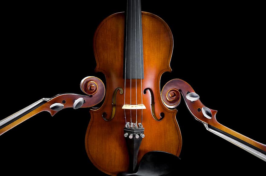 viola, violă, orchestră, muzică, instrument, clasic, artă, şir, concert, simfonie, de lemn