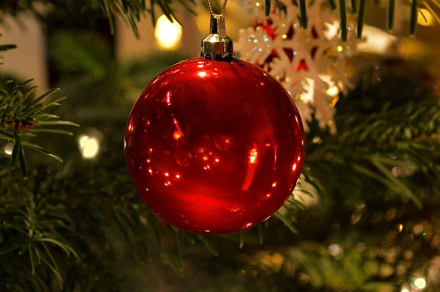 motyw świąteczny, drzewko świąteczne, czerwona cacko, gałęzie jodły, Boże Narodzenie, świąteczny nastrój, ozdoby na choinkę, świąteczne dekoracje, czas świąt, Mójsezon świąteczny