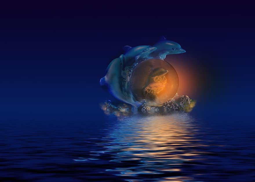 zivis, delfīns, jūra, akmens, lēkt, naktī, debesis, mēness, šķiet