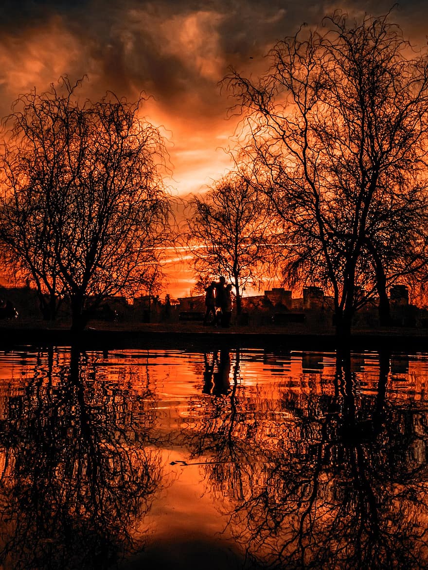 lago, parque, puesta de sol, arboles, ciudad, agua, reflexión, silueta, naturaleza, oscuridad, árbol