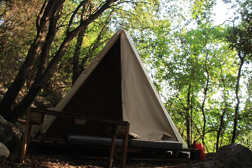 camping, cort, munţi, natură, Liban, copaci, pădure, vară, copac, aventură, călătorie
