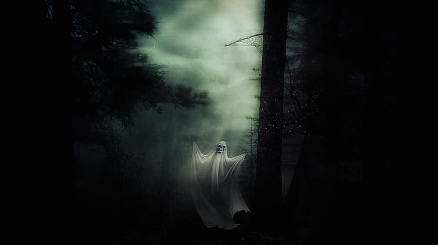 spøgelse, ånd, halloween, uhyggelig, Skov, mærkelig, humør, skræmme, mystisk, skræmmende, rædsel