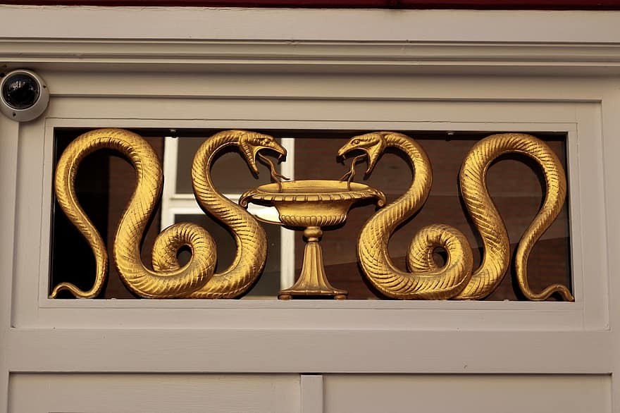 señal de entrada, decoración, serpientes