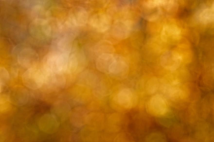 cores do outono, fundo laranja, bokeh, desfocado, origens, abstrato, padronizar, amarelo, brilhante, pano de fundo, multi colorido
