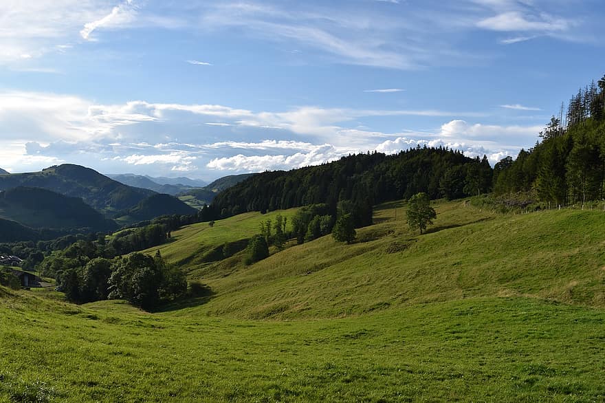 Wanderung, Tal, Hügel, Wiese, Natur, Landschaft, Sommer-, Baselland, Gras, grüne Farbe, ländliche Szene