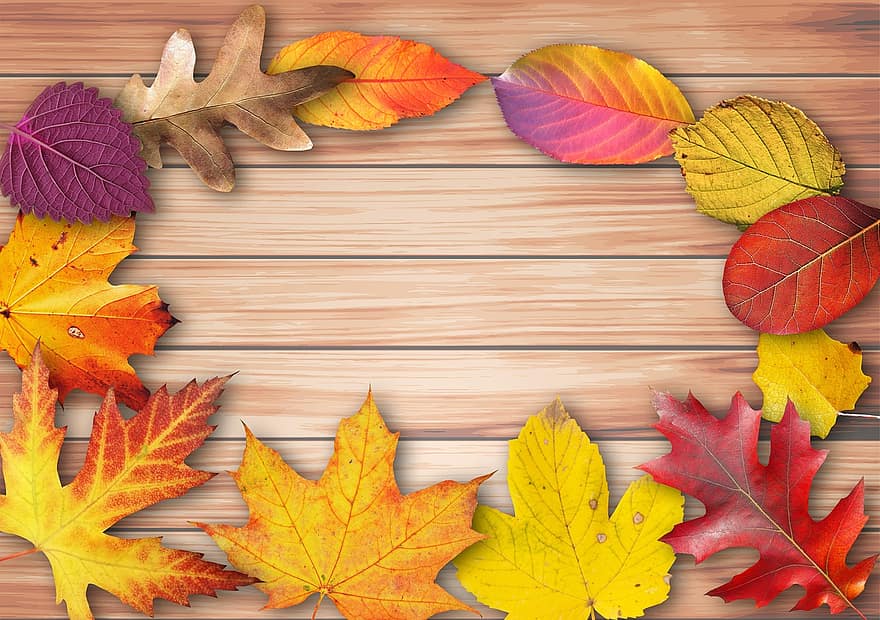 Herbst, Banner, Poster, Textfeld, Einladung, Karte, Holz, Blätter, bunt, heiter, farbig