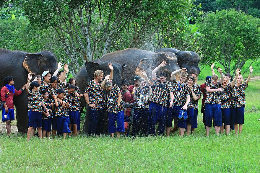 elefantes, gente, safari, animales, mamíferos, los niños, turistas, disfrute, feliz, aventuras, vacaciones
