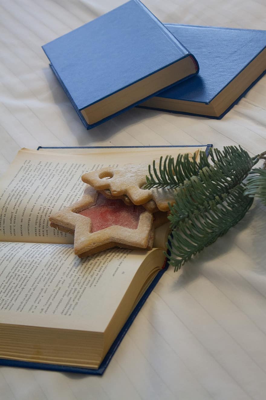 本、クリスマスのクッキー、クリスマス、読む、クッキー、装飾、クリスマスツリー、星、松の枝、ページ、文献