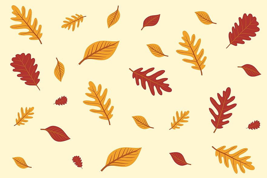 Leaves, Autumn, Fall, leaf, season, pattern, backgrounds, yellow, october, tree, forest