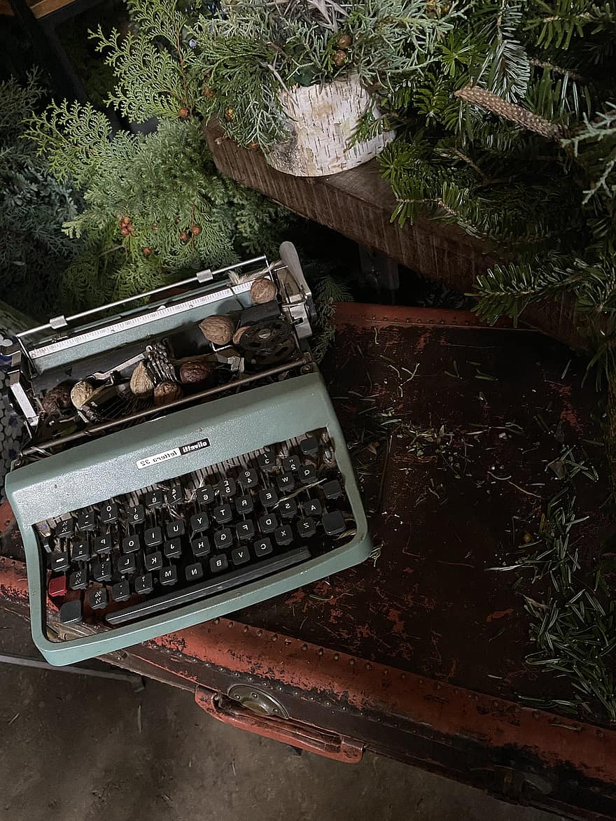 màquina d’escriure, planta, vintage, decoració, noguera, antiguitat, retro, vell, passat de moda, primer pla, carta