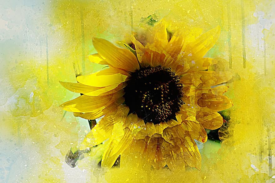 Blume, Sonnenblume, Natur, Kunst, abstrakt, Aquarell, Jahrgang, Sommer-, künstlerisch, Hintergrundbild, Design