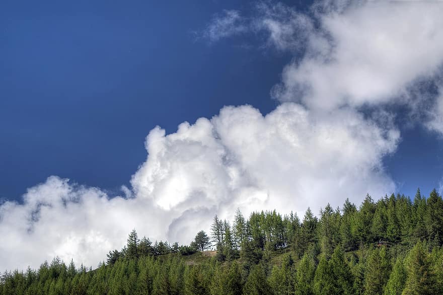 Berg, Wolkengebilde, Wolken, Himmel, Kumulus, Bäume, Kiefernwald, Landschaft, szenisch
