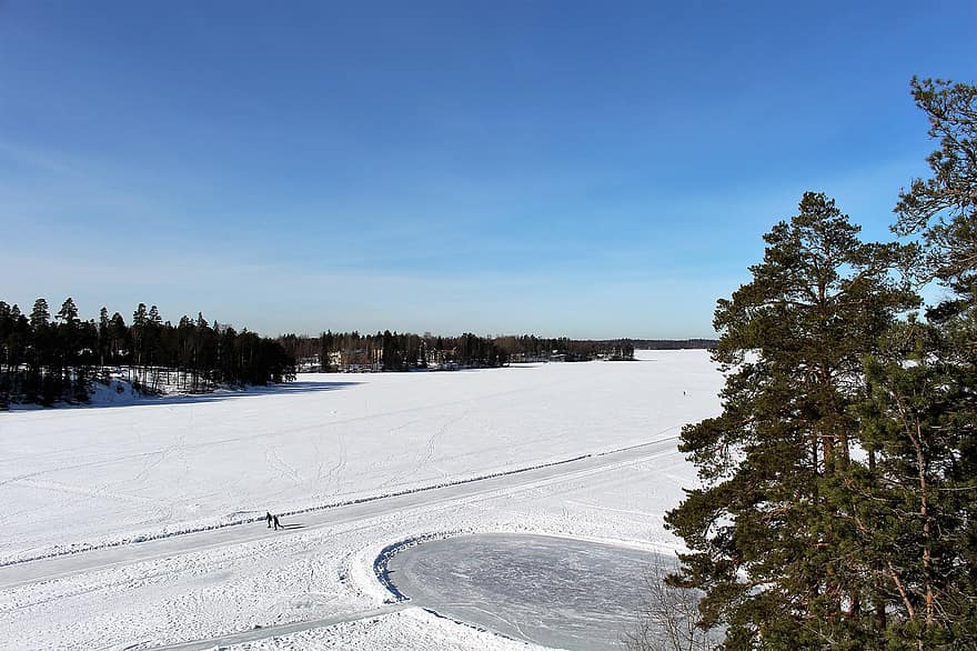 снег, лес, лед, зима, кататься на коньках, конькобежец, катание на коньках, горизонт, сосна, спорт, синий