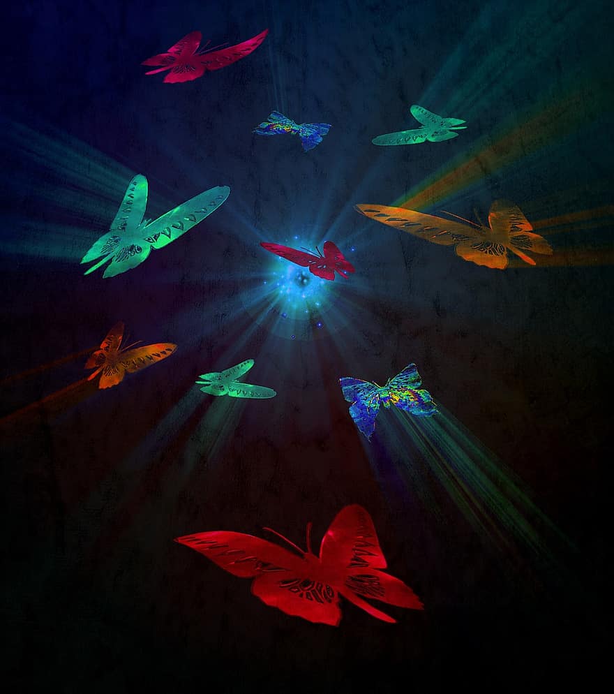 kupu-kupu, cahaya, dalam lalat cahaya