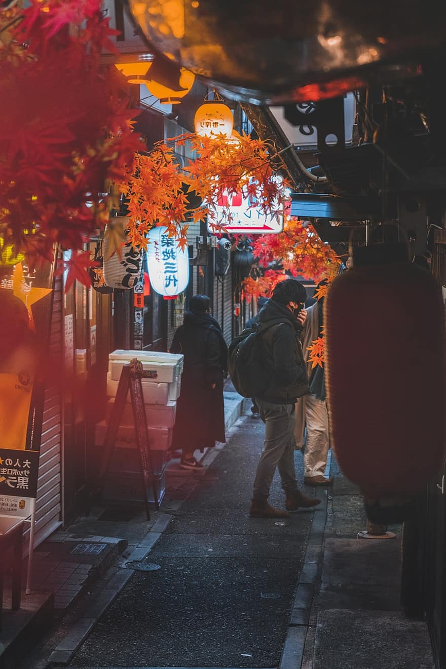 คน, ฤดูใบไม้ร่วง, ถนน, ประเทศญี่ปุ่น, เมือง, ชินจูกุ, ผู้ชาย, ผู้ใหญ่, ชีวิตในเมือง, วัฒนธรรม, กลางคืน