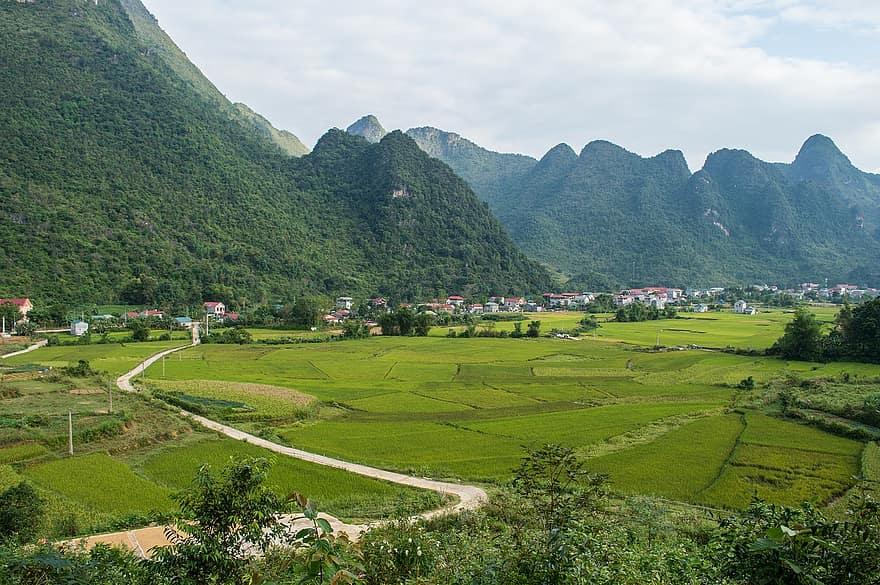Berge, Reisfeld, Wanderung, Cao Bang, Vietnam, Nord-Vietnam, Tourist, Berg, ländliche Szene, grüne Farbe, Landschaft