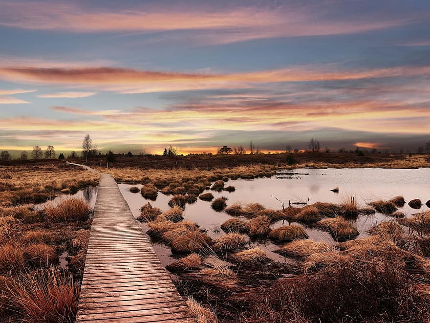 Hohes Venn, Swamp, Boardwalk, Sunset, Moor, Nature, Scenery, Wooden Trail, Wooden Path, Nature Reserve, Sky
