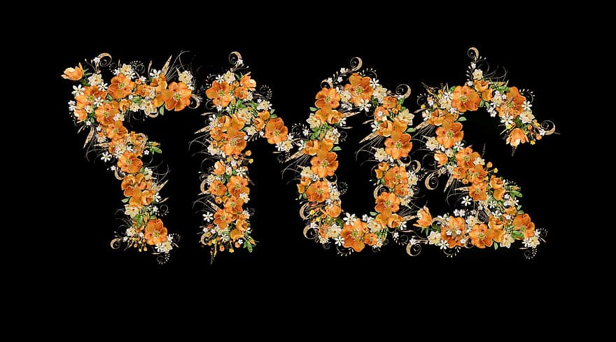 λουλούδια, 2017, μαύρος, άγρια ​​λουλούδια, ΛΑΜΠΡΌΣ, Χαρά, Ιούνιος, γρασίδι