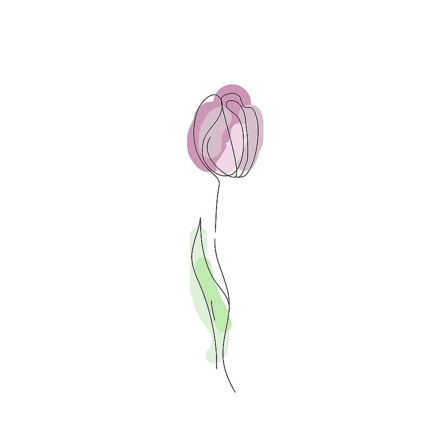 fiore, tulipano, petali, disegno, foglio, pittura, verde, giardino, pianta, decorazione, foglia