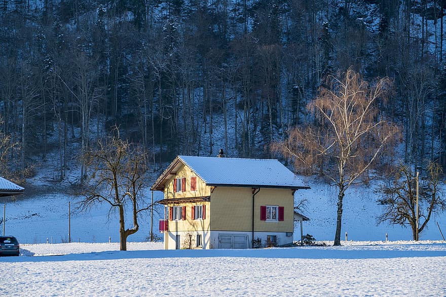 дома, кабины, деревня, снег, зима, вечер, Швейцария, дерево, лед, лес, мороз