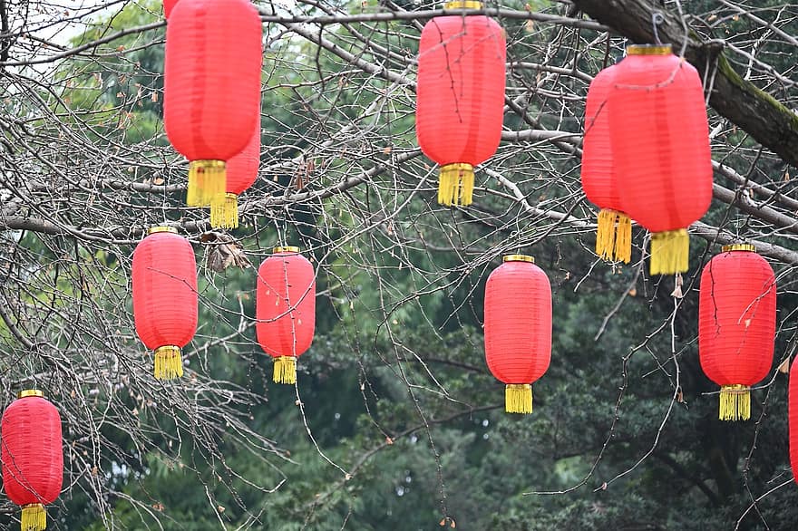 lanterna, festival, decoração, arte, culturas, celebração, cultura chinesa, lanterna chinesa, suspensão, festival tradicional, chinatown
