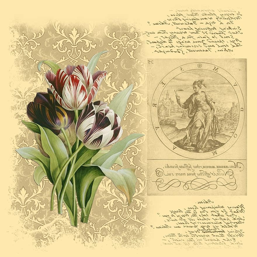 Hintergrund, Jahrgang, alt, Papier-, Sammelalbum, braun, Blumen, ets