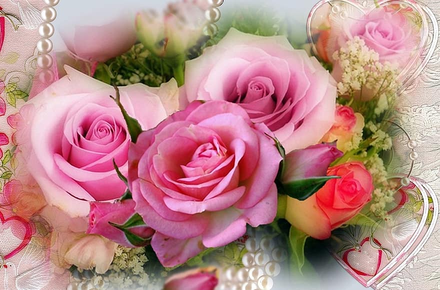 purpura rozes, rosebuds, sirdis, romantisks, rozes, raksturs, ziedi, linda, rozā, krāsa rozā, poga