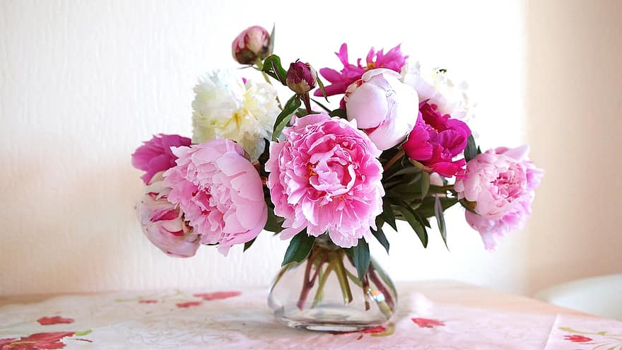 peonijas, ziedi, vāze, ziedu kompozīcija, pušķis, rozā ziedi, zieds, rozā krāsa, apdare, ziedlapiņa, lapas