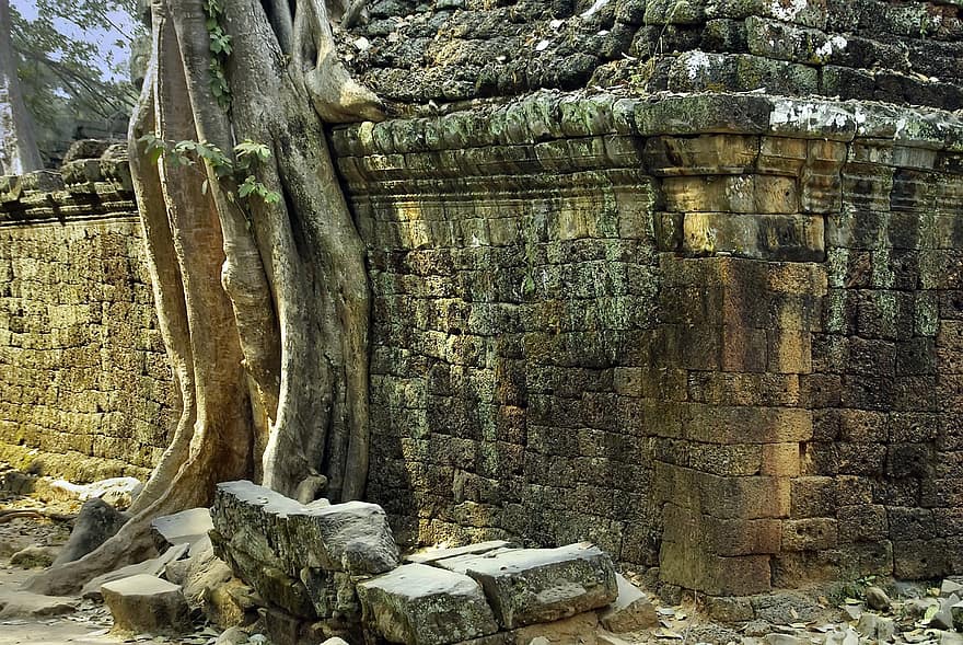 tinning, ruiner, arkeologi, angkor, vegetasjon, invasjon, sivilisasjon, khmer, gammel ruin, arkitektur, historie
