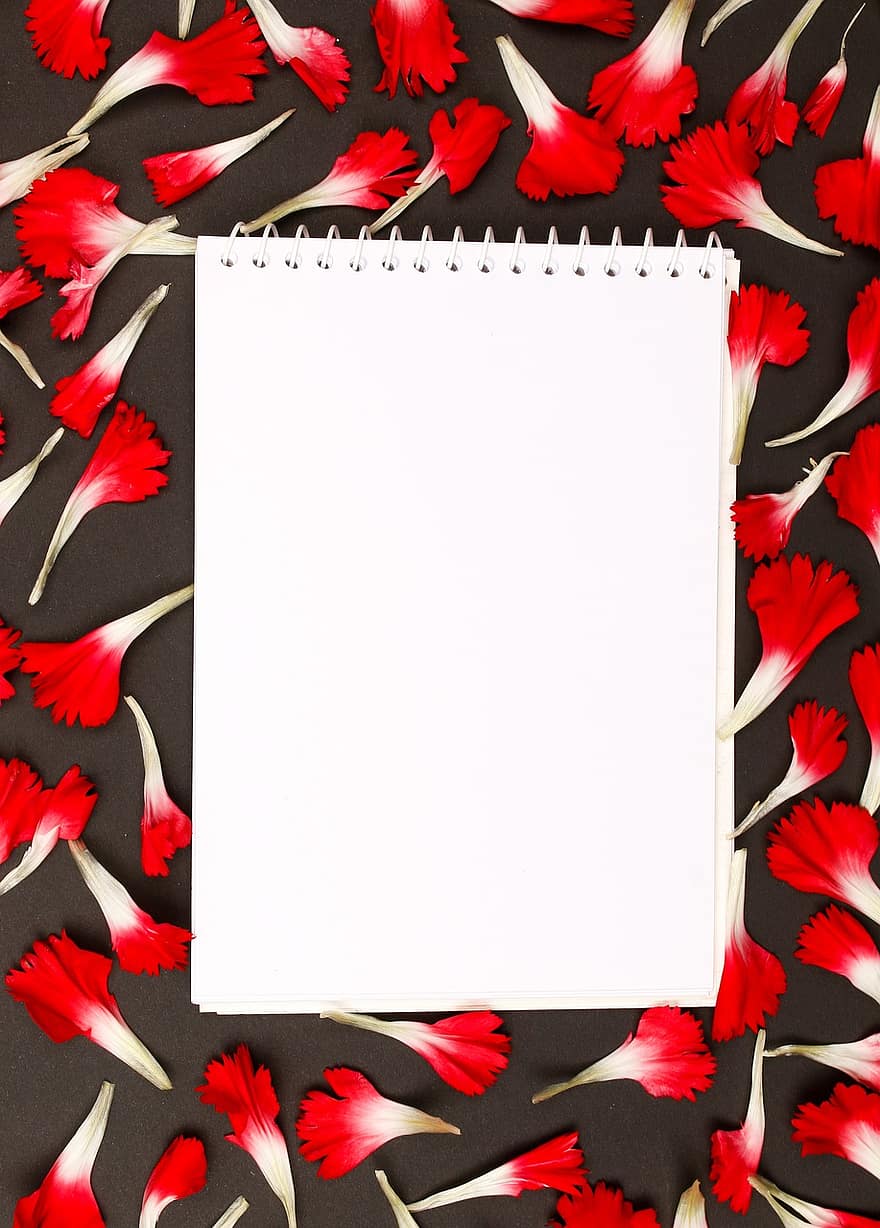 flori, fundal, cadru, Notepad, caiet, hârtie, flori rosii, carnație, petale, decor, aranjament