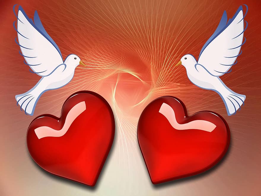 Dove, Heart, Love, Background, Abstract, Affection, Whisper Sweet Nothings, Valentine's Day, Romantic, Tenderness, Luck