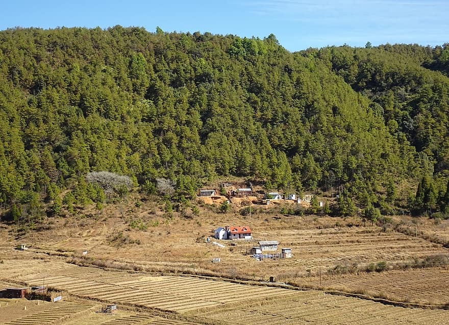 vallée, les collines, en terrasse, agriculture, plateau, règlement, village, Meghalaya
