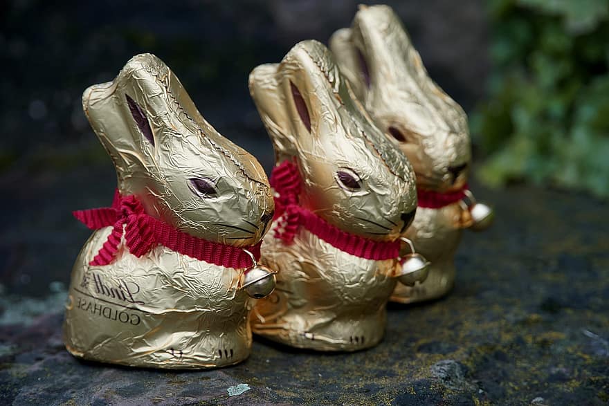 кролик, шоколад, сладости, культуры, милый, праздник, религия, украшение, время года, маленький, маленький кролик
