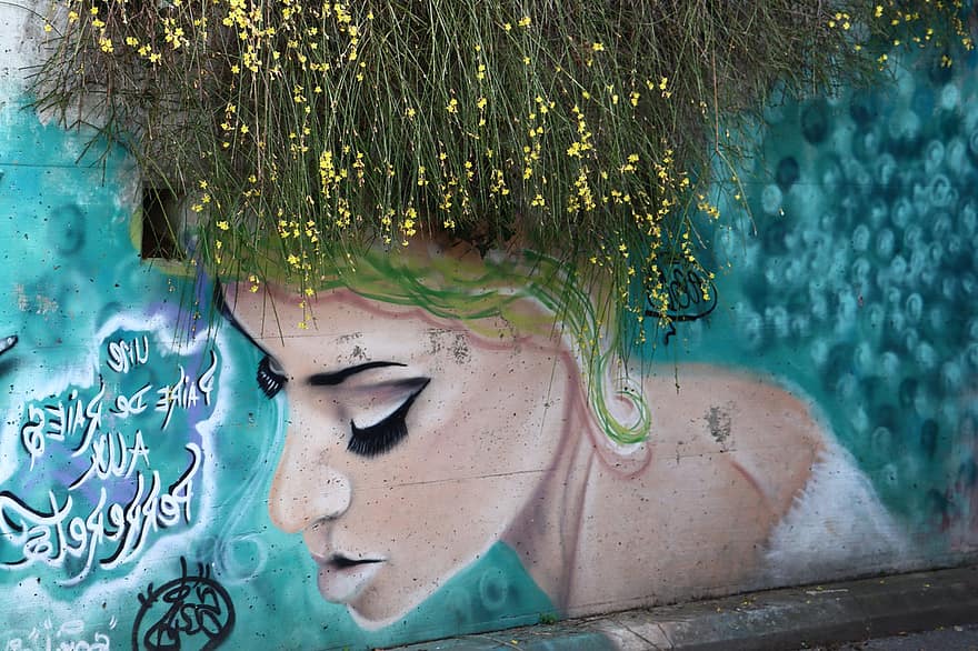 жінка, графіті, дівчина, вуличне мистецтво, міський, настінне мистецтво, фреска, стіна, волосся, рослини, балончик