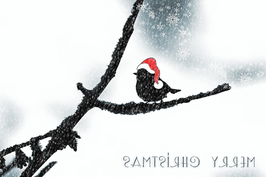 Boże Narodzenie, kartka świąteczna, świąteczne pozdrowienia, ptak, motyw świąteczny, kapelusz Boże Narodzenie, kartka z życzeniami, mapa, zimowy, Dekoracja śnieżna, zwierzę