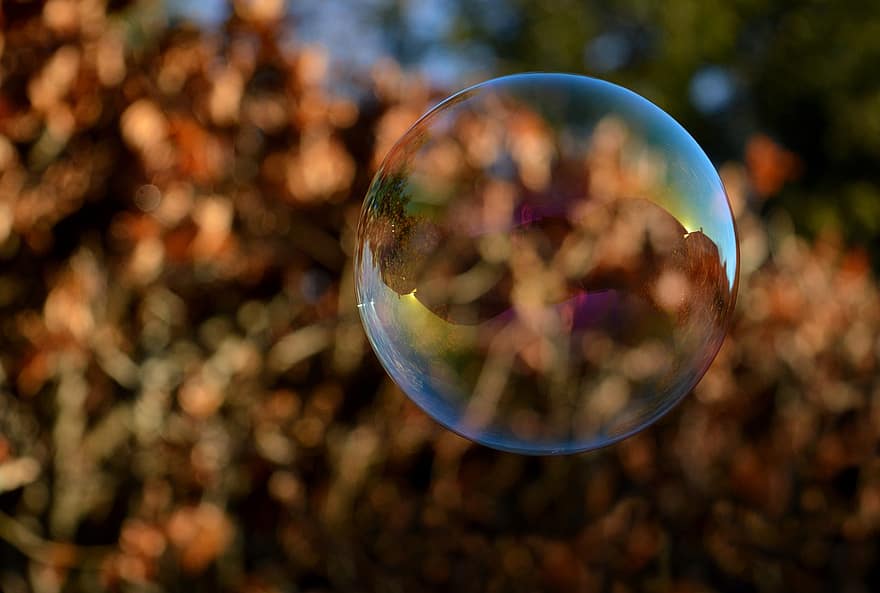 burbulas, muilo burbulas, atspindys, pakimba, turas, muiluotu vandeniu, rudenį