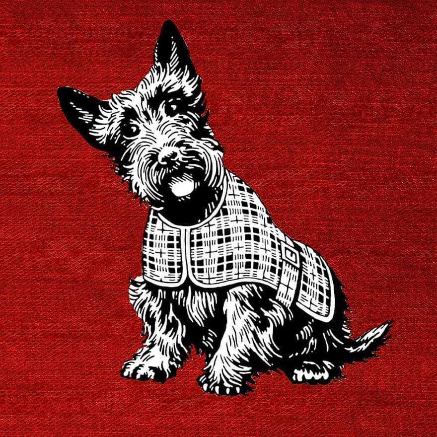 шотландский, собака, современный, красный, ткань, дизайн, смешной, камень, романтик, фон, альбом