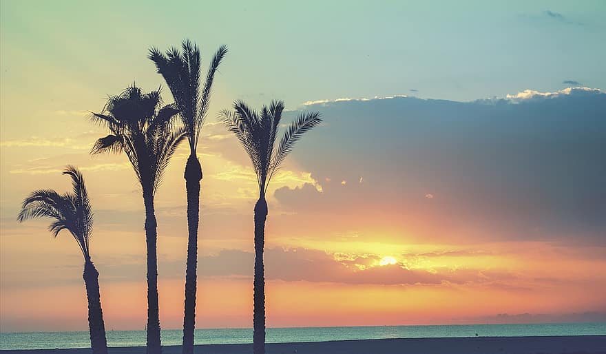 strand, palmer, gryning, hav, Sol, moln