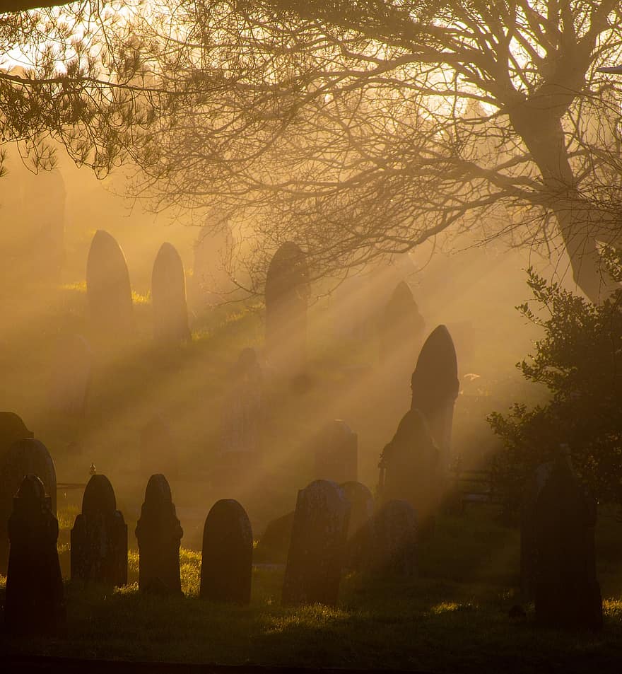Cemetery, Tombstones, Fog, Graveyard, Headstones, Graves, Gravestone, Churchyard, Light, Trees, Cross