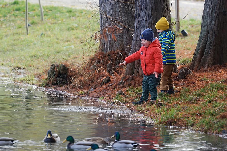 Children, Feeding, Birds, Lake, Parka, Naturally, Trees, Autumn