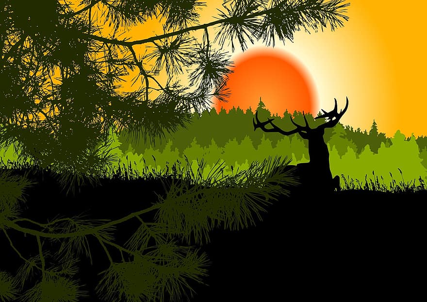 paisaje, puesta de sol, bosque de abetos, Hirsch, pino, prado, atmosférico, noche, amanecer, Mañana, coníferas