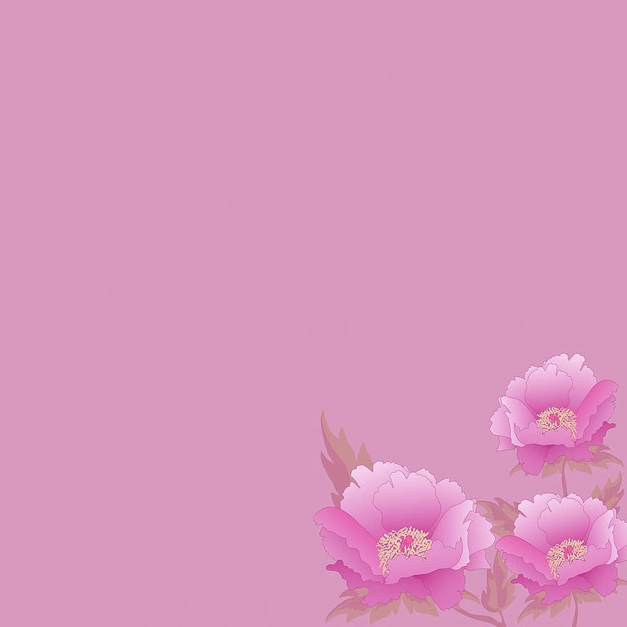Floral Background, Pink, Peonies, Roses, Floral, Nature, Flower, Spring, Romantic, Love, Pattern
