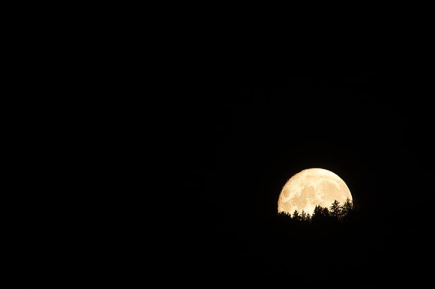 mēness, raksturs, naktī, ārā, satelītu, siluets, mežs