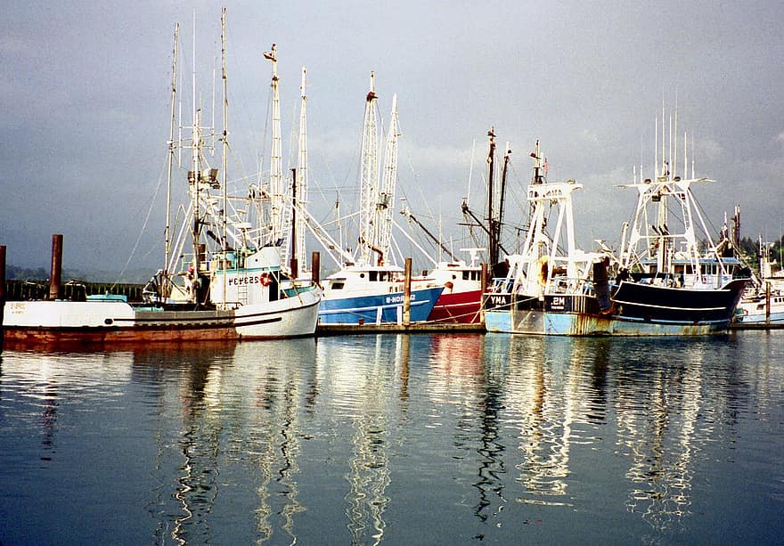 bateaux de pêche, Port, baie, bateaux, réflexion, eau, mer, océan, pacifique, la pêche commerciale, Newport