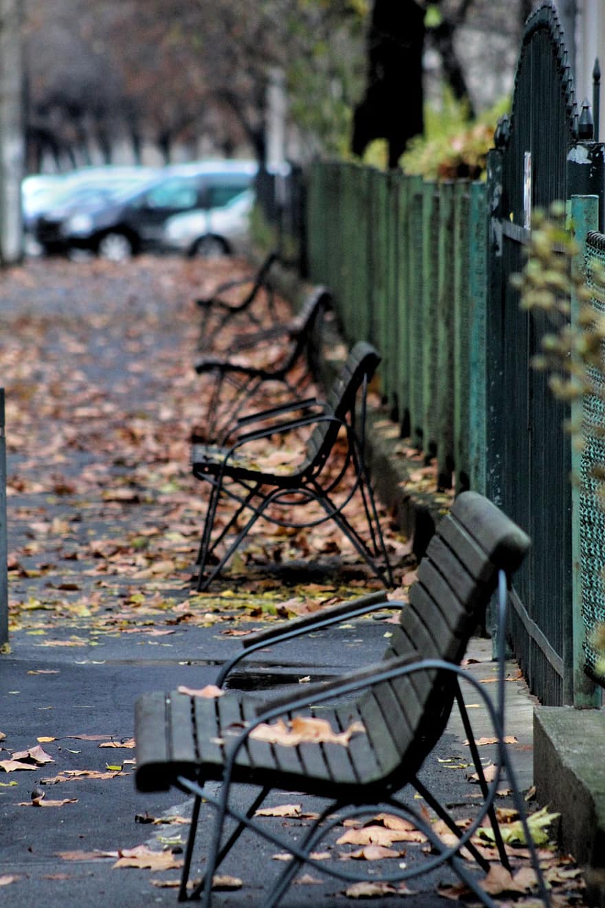 Park, Park Benches, Alley, Autumn, Fall Season, Nature, bench, wood, leaf, table, tree